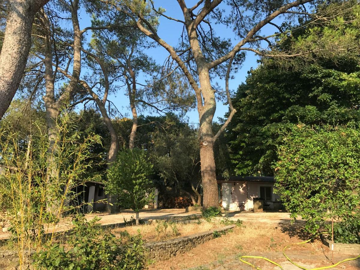 Mazet Proche Golf Villa Nimes Exterior photo